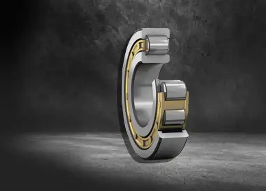 Cylindrical Roller Bearing Supplier in Delhi